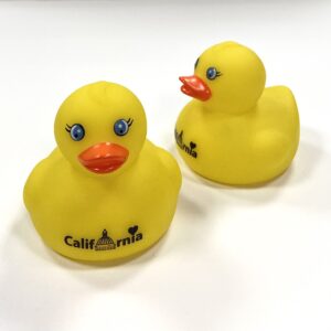 Rubber Duck