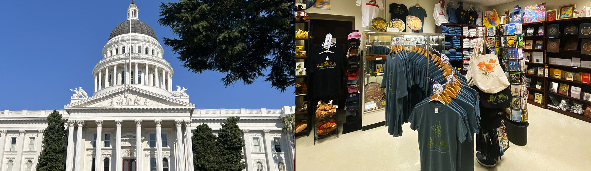 Shop